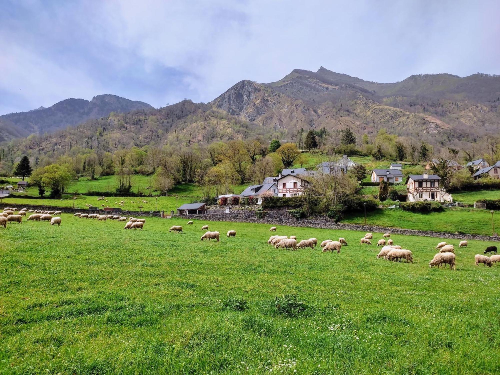 Appartement Chaleureux En Coeur De Station Laruns Kültér fotó